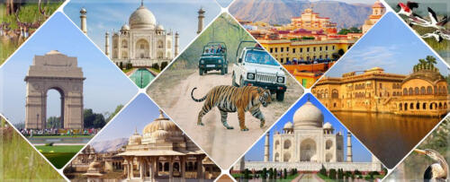 wildlife taj mahal tour india