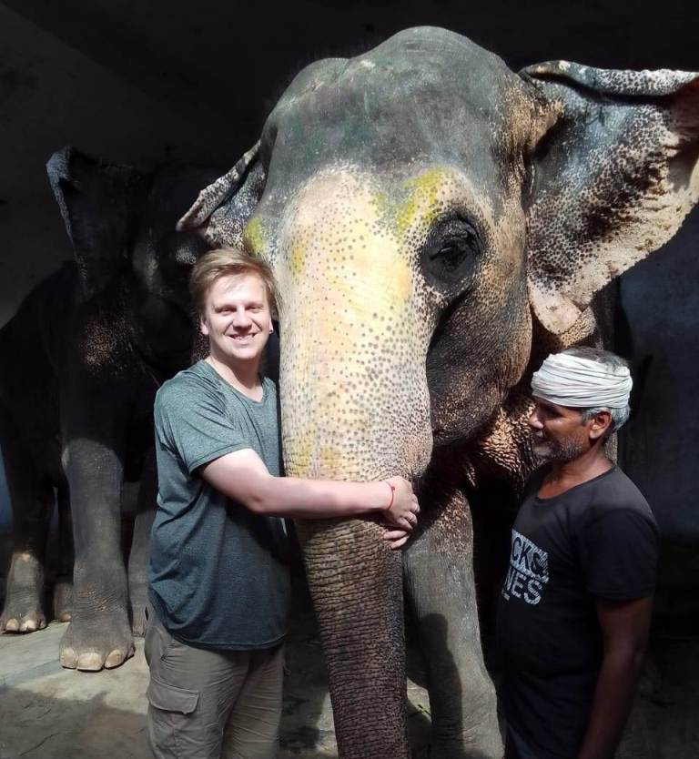 Best Ethical Elephant Experience in Jaipur (2026 Guide)