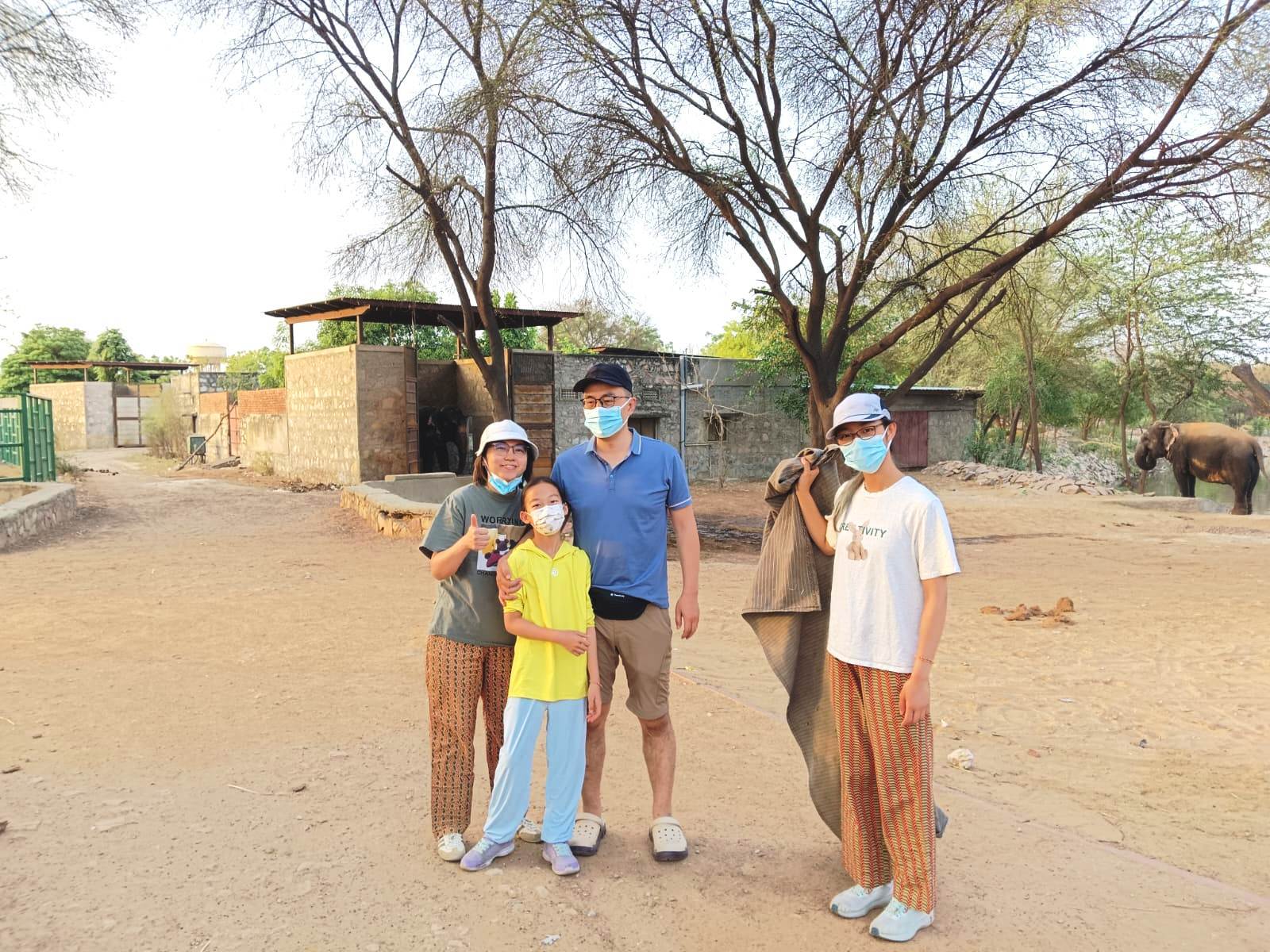 elephant sanctuary