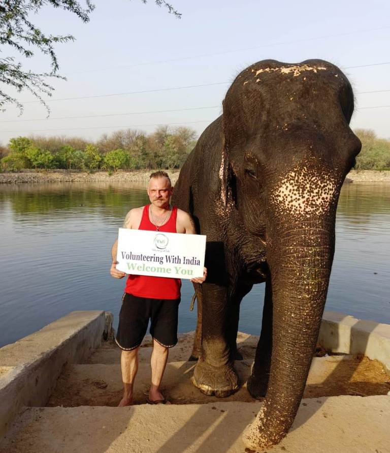 volunteer elephants