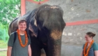 elephant sanctuary in Jaipur