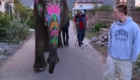elephant sanctuary jaipur