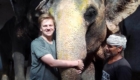 jaipur elephant project