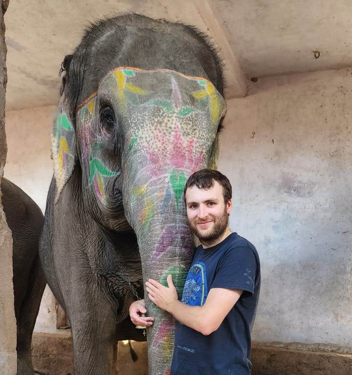 Volontariato con Elefanti in India | Guida Etica 2026