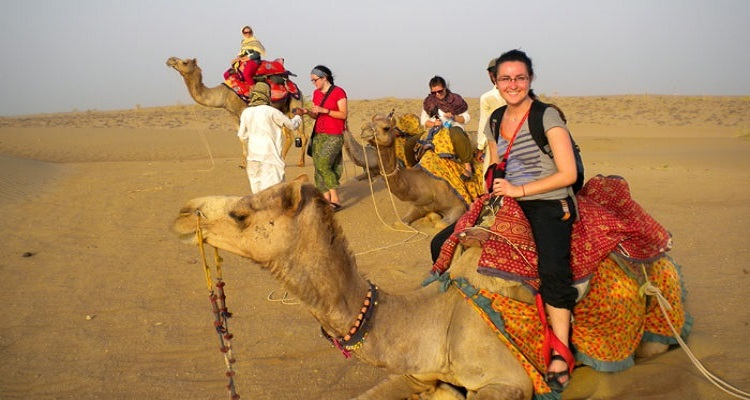 Voyage solidaire en Inde : Rajasthan, Safari & Volontariat 2026